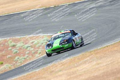 media/May-06-2023-Lucky Dog Racing (Sat) [[8f2256f436]]/Turn 2 10a/